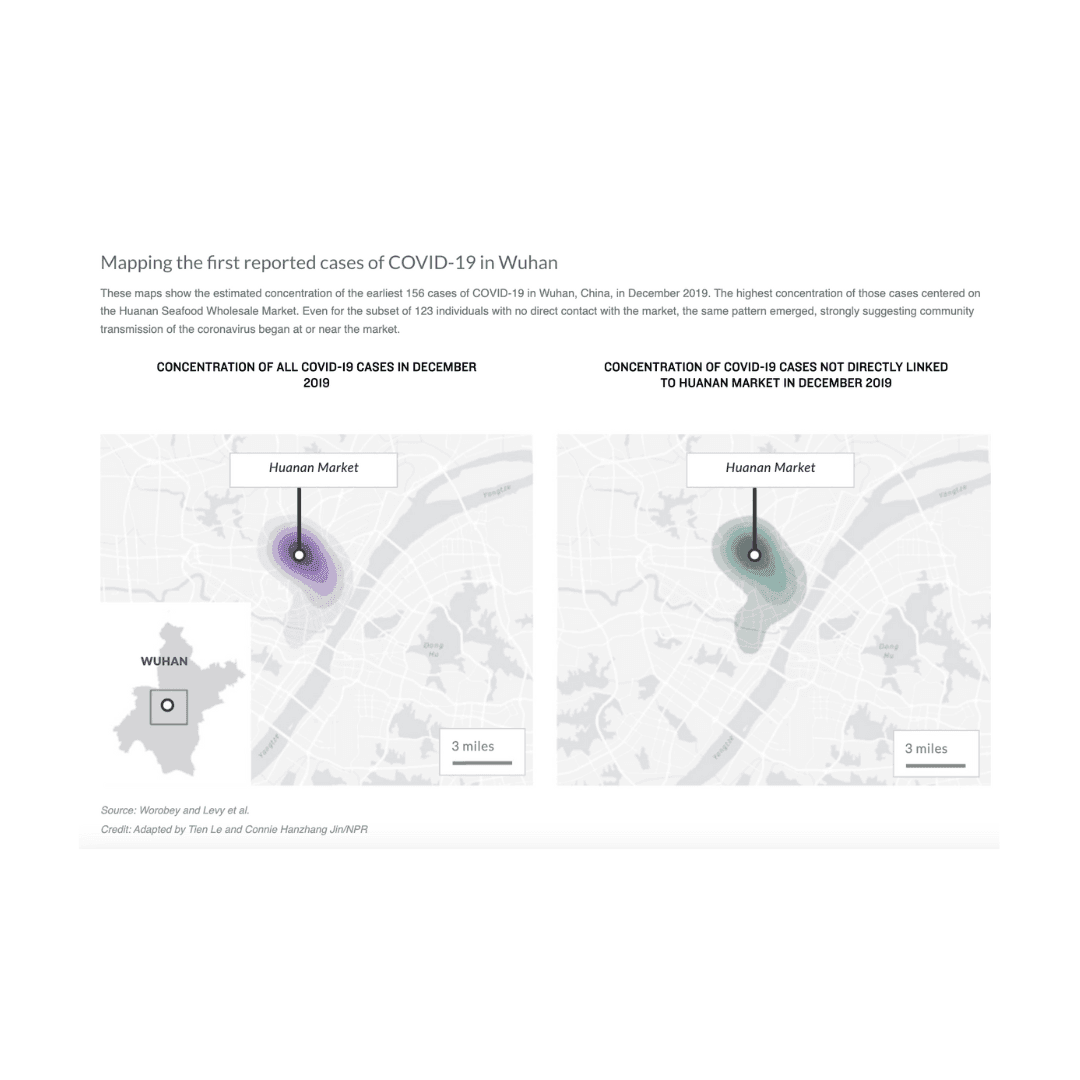 NPR: Newly published evidence points to Wuhan seafood market as pandemic origin point